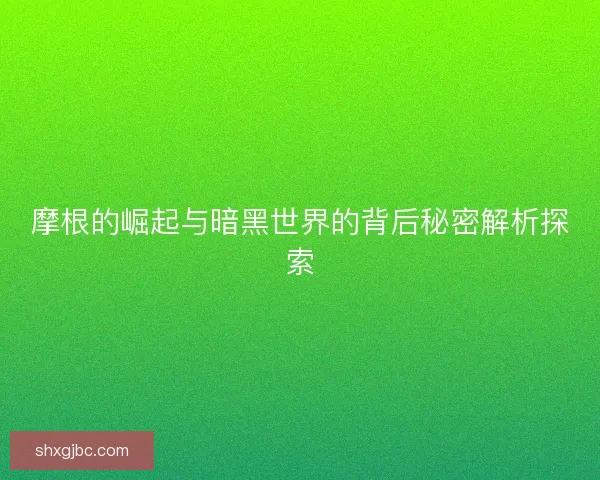摩根的崛起与暗黑世界的背后秘密解析探索